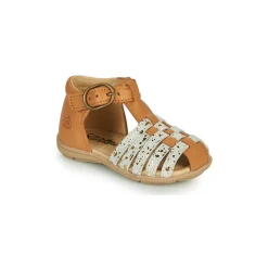 Citrouille et Compagnie - RINE