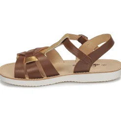 Sale Citrouille et Compagnie - MINOTTE