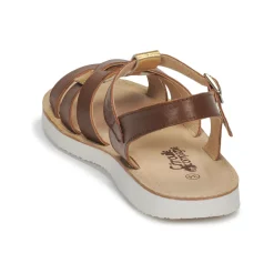 Sale Citrouille et Compagnie - MINOTTE