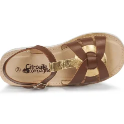 Sale Citrouille et Compagnie - MINOTTE