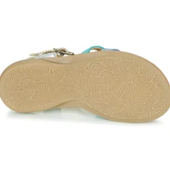 New Citrouille et Compagnie - GROUFLA