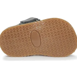 Citrouille et Compagnie - MISTIGRI