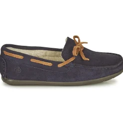 Citrouille et Compagnie - OUTIS