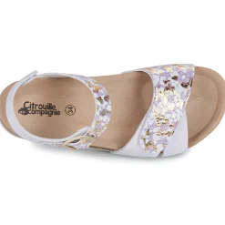 Online Citrouille et Compagnie - CHOMINA Violet