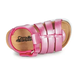 Citrouille et Compagnie - MALIA