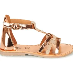 Citrouille et Compagnie - GITANOLO