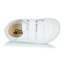 Citrouille et Compagnie - GLASSIA Blanc Hot