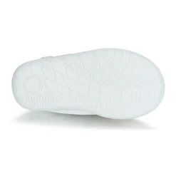 Citrouille et Compagnie - GLASSIA Blanc Hot