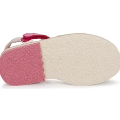 Citrouille et Compagnie - ILOUDFI