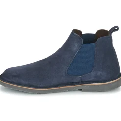 Citrouille et Compagnie - HOUVETTE Marine Sale