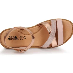 Sale Citrouille et Compagnie - IZOEGL Rose