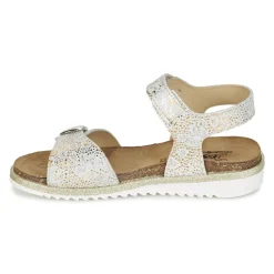 Citrouille et Compagnie - GUAFRETTE Doré Best