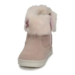 Citrouille et Compagnie - PALADOU Rose