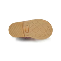 Citrouille et Compagnie - PUMBAE Rose