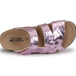 Citrouille et Compagnie - WAOUH Rose Online