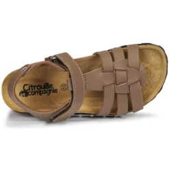 Citrouille et Compagnie - JANISOL Marrontaupe Sale