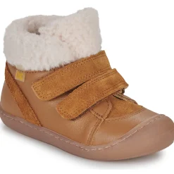 Citrouille et Compagnie - NEBULI Camel