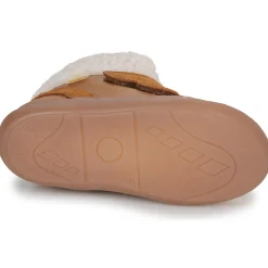 Citrouille et Compagnie - NEBULI Camel