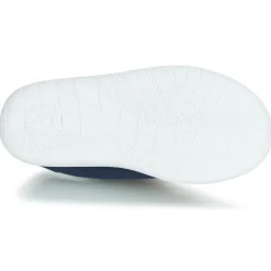 Citrouille et Compagnie - GLASSIA