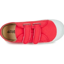 Citrouille et Compagnie - MINOT