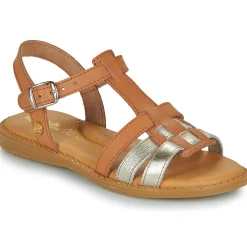 Citrouille et Compagnie - ROLUI