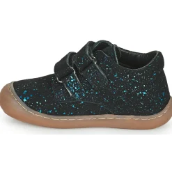 Citrouille et Compagnie - PIOTE Bleu