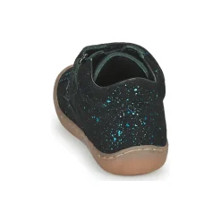 Citrouille et Compagnie - PIOTE Bleu