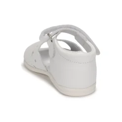 Citrouille et Compagnie - MINUS