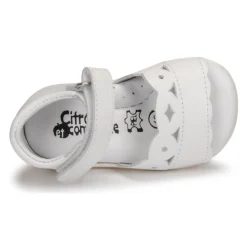 Citrouille et Compagnie - MINUS