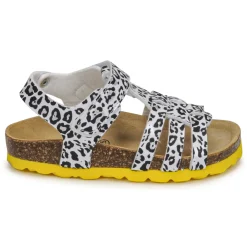 Citrouille et Compagnie - JANISOL