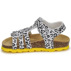 Citrouille et Compagnie - JANISOL