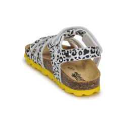 Citrouille et Compagnie - JANISOL