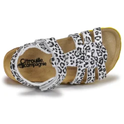 Citrouille et Compagnie - JANISOL