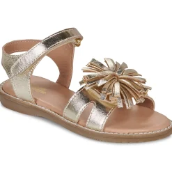 Citrouille et Compagnie - PETALE