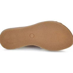 Citrouille et Compagnie - PETALE