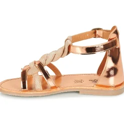 Citrouille et Compagnie - GITANOLO Discount