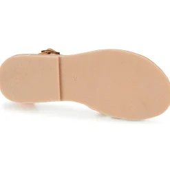 Citrouille et Compagnie - GITANOLO Discount