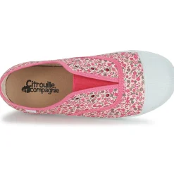 Citrouille et Compagnie - RIVIALELLE