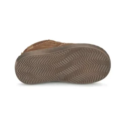 Citrouille et Compagnie - FIMOULA Marron Best