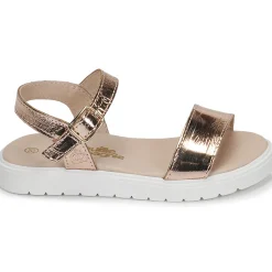 Best Citrouille et Compagnie - GAPOTI Bronze