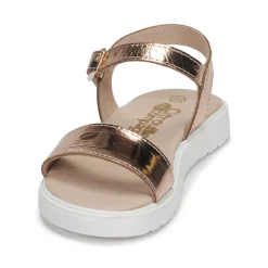 Best Citrouille et Compagnie - GAPOTI Bronze