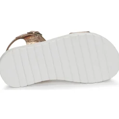 Best Citrouille et Compagnie - GAPOTI Bronze