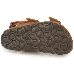 Online Citrouille et Compagnie - KELATU Marron