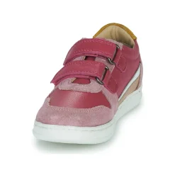 Citrouille et Compagnie - BETEIZ Violet Outlet