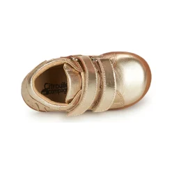 Citrouille et Compagnie - TAPELLE