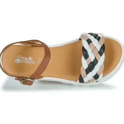 Citrouille et Compagnie - NASAKO