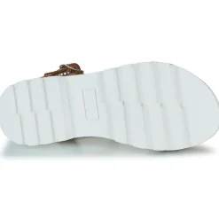 Citrouille et Compagnie - NASAKO