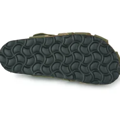 Citrouille et Compagnie - BAMBOCHE