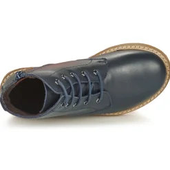 Citrouille et Compagnie - HATINE Marine New