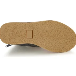 Citrouille et Compagnie - HATINE Marine New